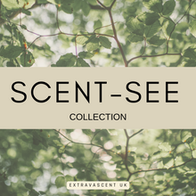 Load image into Gallery viewer, 'Scent-C' Inspired Wax Melt Bars