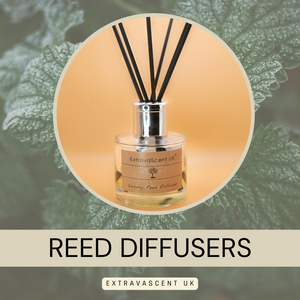 Reed Diffusers Collection