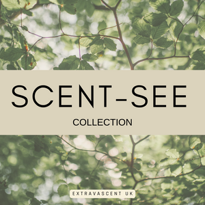 Scent See Wax Melt Bars