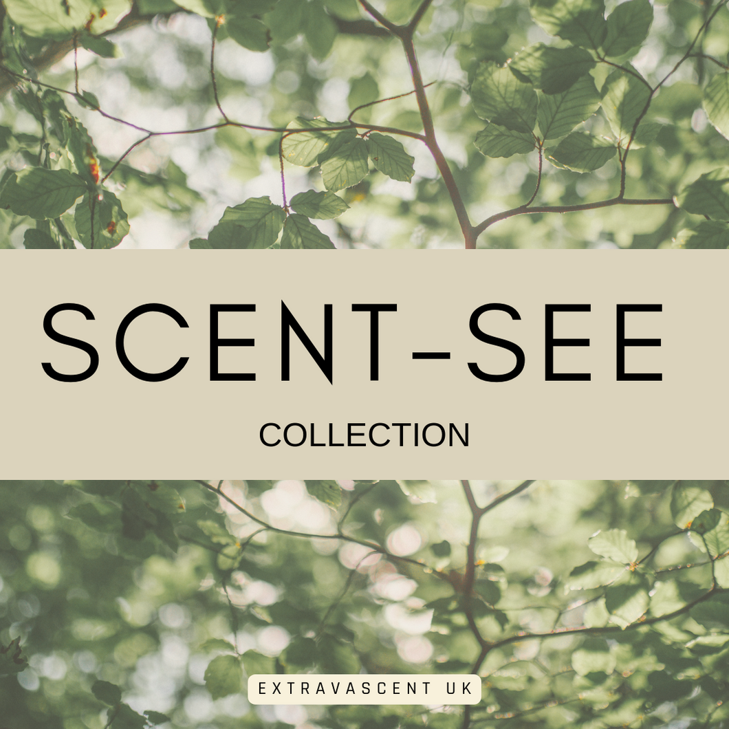 Scent See Wax Melt Bars