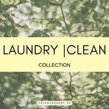 Load image into Gallery viewer, Laundry &amp; Spanish Cleaning:  Wax Melt Bars
